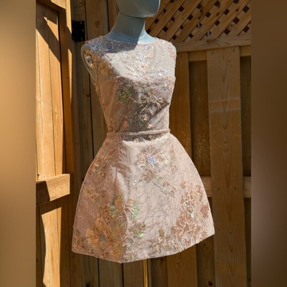 🆕 BRONX & BANCO 🧿 NWOT Violet Mini Dress, Gold & Champagne Sequin - Sz XS US 2 - Picture 3 of 15